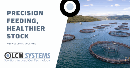 Aquakultur - Präzisionsfütterung